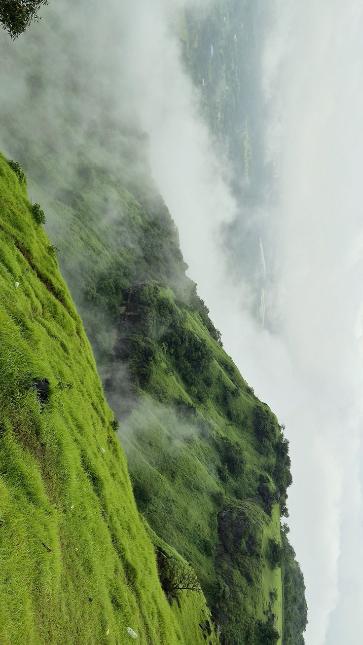 Coffee terraces on the ridge